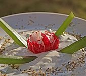 Artischocken mit Kr&auml;utercreme (Bild)