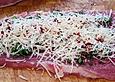 Schweinefilet mit Basilikum - Pecorino - F&uuml;llung