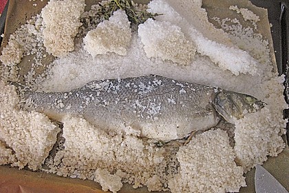 Wolfsbarsch in Salzkruste 2