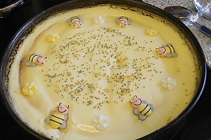 Der unglaublich cremige NY Cheese Cake 216