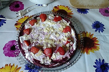 Der unglaublich cremige NY Cheese Cake 257