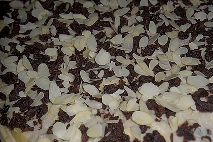 Brisanes Apfel - Kokos - Kuchen 6