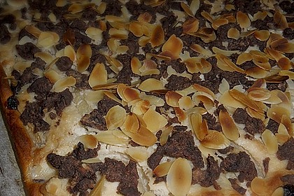 Brisanes Apfel - Kokos - Kuchen 3