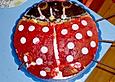 Sonnenk&auml;fer - Kuchen