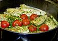 Chicoree mediterrane Art