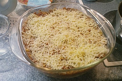 Shanais Nudel - Thunfisch - Auflauf 6