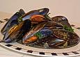 Muscheln mit Safran