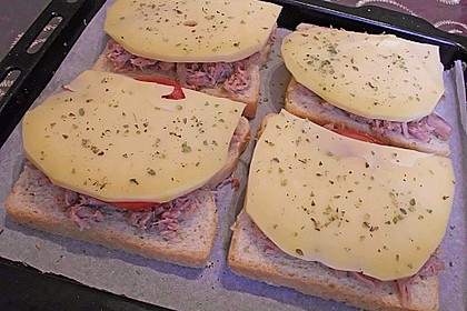 Toast mit Thunfisch 1