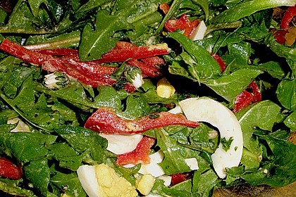 L&ouml;wenzahn - Paprika - Salat mit Ei und G&auml;nsebl&uuml;mchen