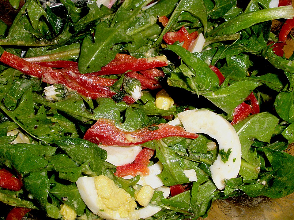 Löwenzahn - Paprika - Salat mit Ei und Gänseblümchen (Rezept mit Bild ...