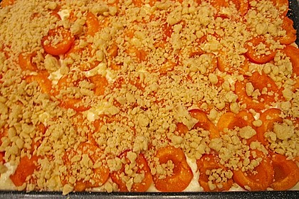 Aprikosen - Streusel - K&uuml;chlein von Sarah