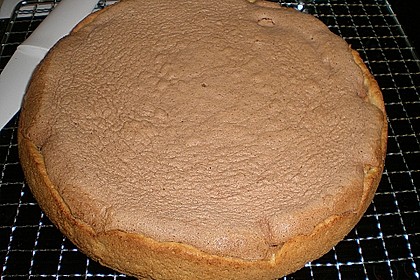 Apfelkuchen mit M&uuml;rbeteig und Kakaobiskuit 14