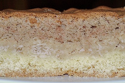 Apfelkuchen mit M&uuml;rbeteig und Kakaobiskuit 17