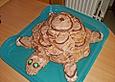 Schildkr&ouml;te