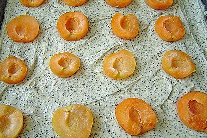 Brisanes Aprikosenkuchen mit Mohn und Quark 1