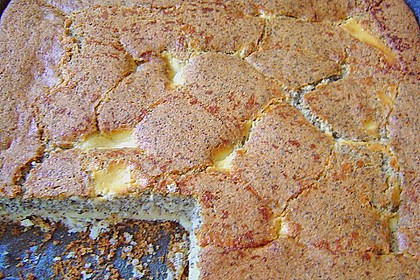 Brisanes Aprikosenkuchen mit Mohn und Quark 2