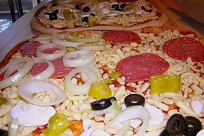Honig  - Pizzateig 6