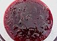 Johannisbeer - Chili - Chutney