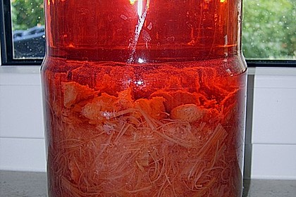 Erdbeer - Rhabarber - Likör 4