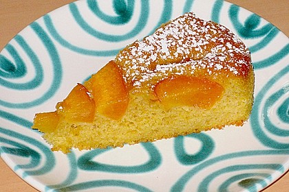 Extra fruchtiger Marillenkuchen