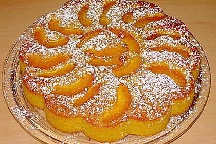 Extra fruchtiger Marillenkuchen 1