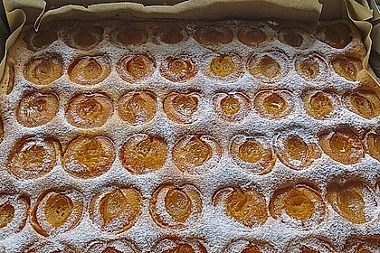 Extra fruchtiger Marillenkuchen 3