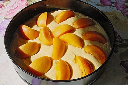 Extra fruchtiger Marillenkuchen 4