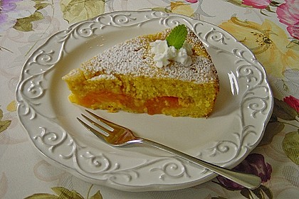 Extra fruchtiger Marillenkuchen 5