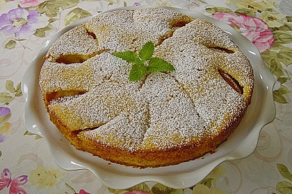 Extra fruchtiger Marillenkuchen 6