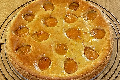 Extra fruchtiger Marillenkuchen 7