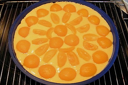 Extra fruchtiger Marillenkuchen 8