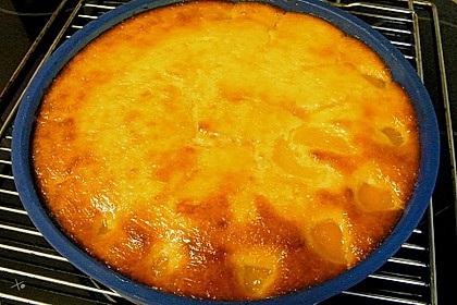 Extra fruchtiger Marillenkuchen 9