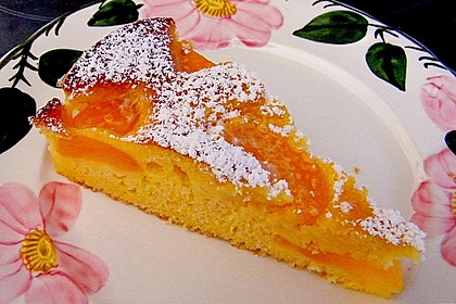 Extra fruchtiger Marillenkuchen 10