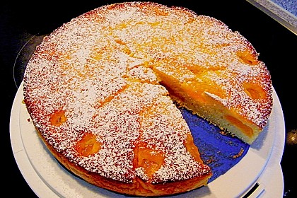 Extra fruchtiger Marillenkuchen 11