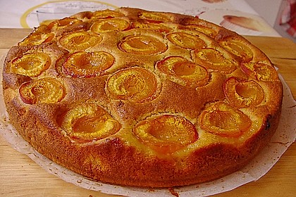 Extra fruchtiger Marillenkuchen 12