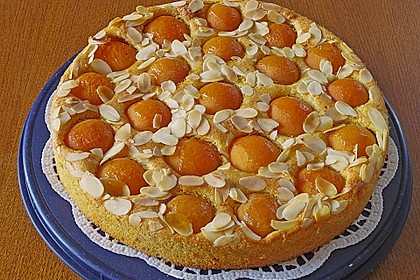 Extra fruchtiger Marillenkuchen 13