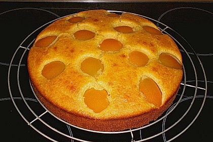 Extra fruchtiger Marillenkuchen 14