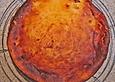 Aprikosenkuchen - K&auml;sekuchen ohne Boden