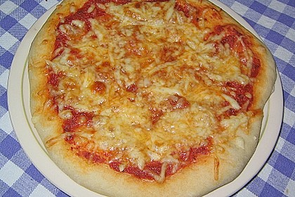 Original Pizzateig 31