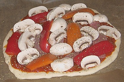Original Pizzateig 89