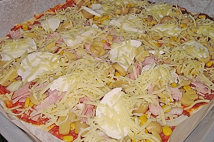 Original Pizzateig 51