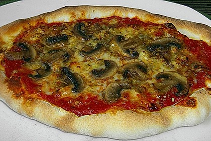 Original Pizzateig 30