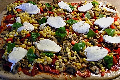 Original Pizzateig 47