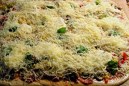 Original Pizzateig 82