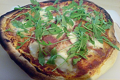 Original Pizzateig 103