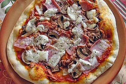 Original Pizzateig 19