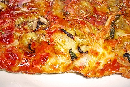Original Pizzateig 53