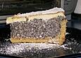 Mohntorte