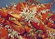 Tomatensalat mit Zitrone