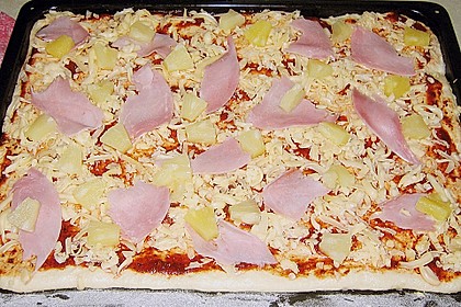 Pizzateig 23